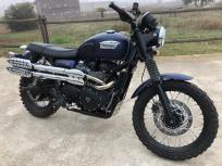 triumph scrambler