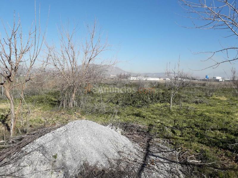 Vendo huerto fértil en la comarca de l Vega de Granada