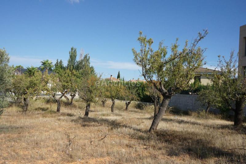 Parcela Rustica en venta en  Cañaverales, Requena