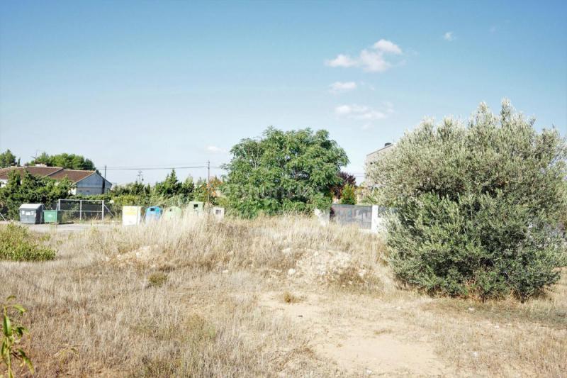 Parcela Rustica en venta en  Cañaverales, Requena