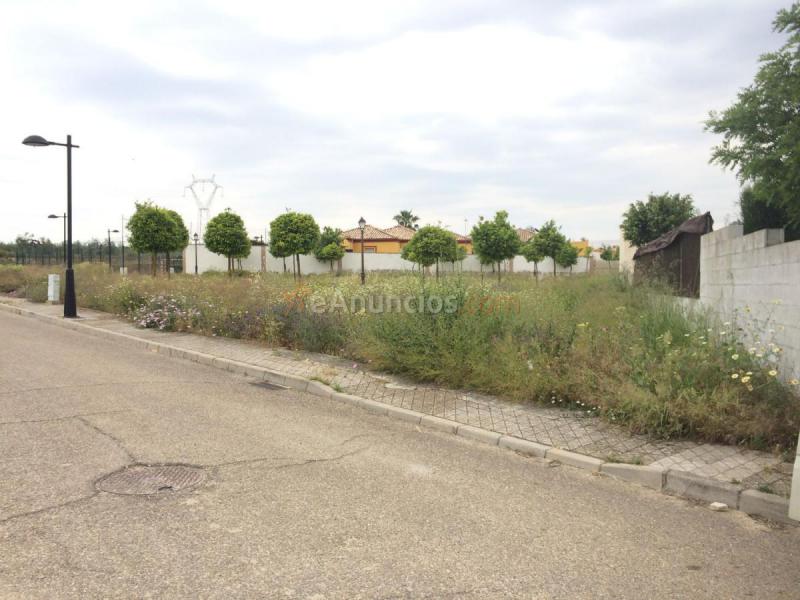 Parcela Rustica en venta en  Salteras