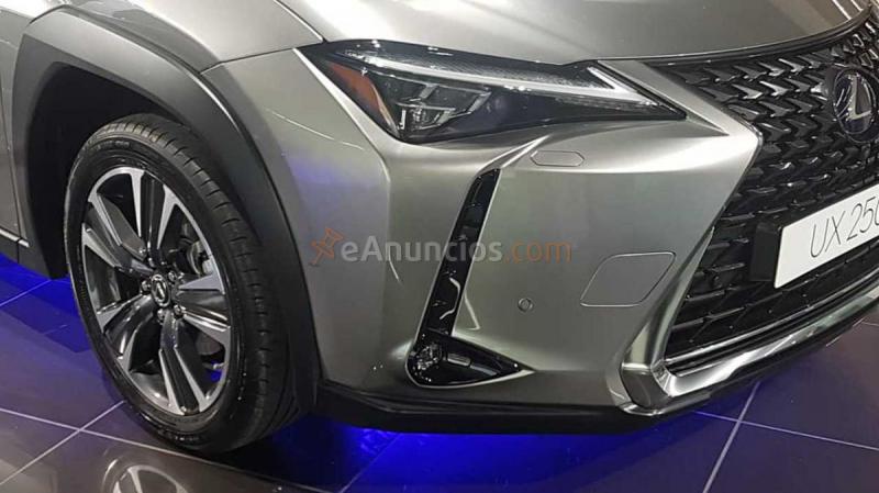 Lexus UX 250h 2wd BUSINESS HYBRIDO NUEVO A ESTRENAR