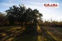 Adosado en venta en Camino Soto Pinilla, Castillejo de Mesleon