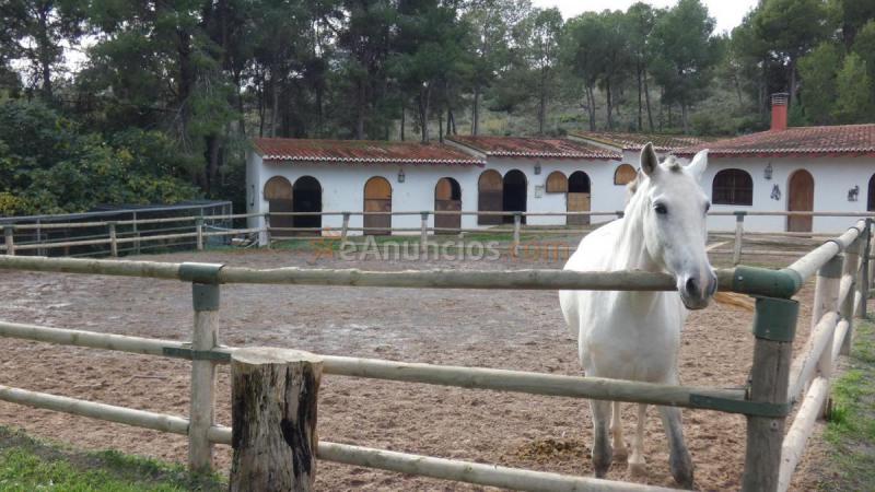 Casa Rural en venta en  Casco Urbano, Náquera
