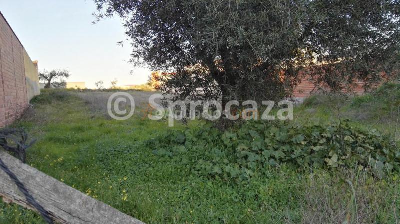 Se Vende Solar en Oropesa (Toledo)