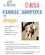 Arga en adopción