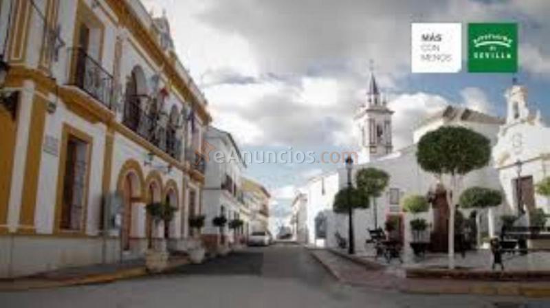 Parcela Rustica en venta en  Albaida del Aljarafe