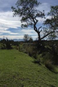 Venta rancho buena vista tlaxcala