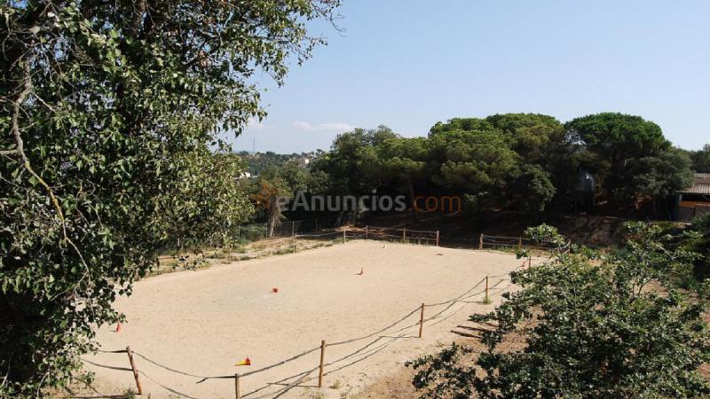 Finca ganadera (Cuenta con licencias) R0002