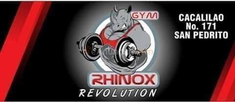 Rhinox gym revolution ponerte en forma es nuestro delir