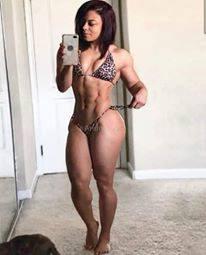 Rhinox gym revolution ponerte en forma es nuestro delir