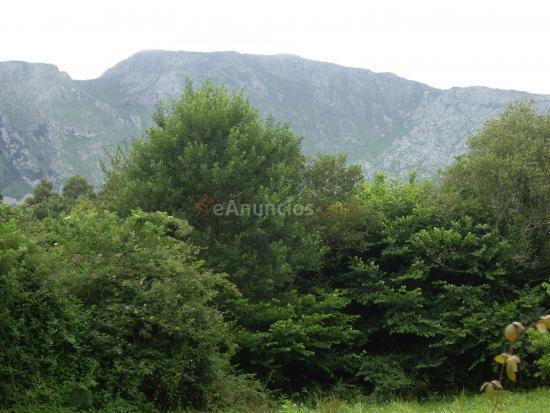 Casa tipica Asturiana