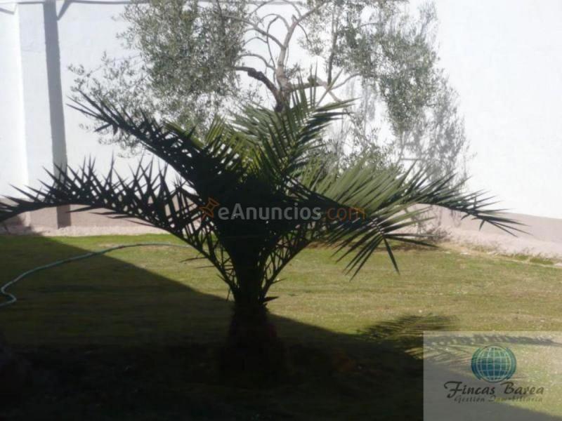 Casa Rural en venta en  Campillos