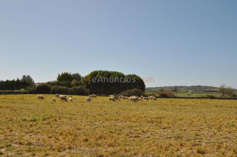 Casa Rural en venta en  Santa Margalida, Santa Margalida