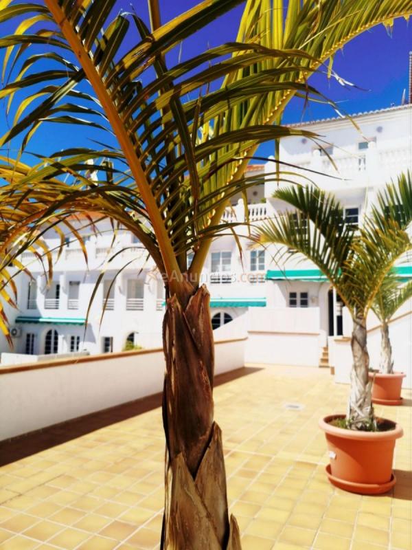 Casa en venta en Calle Balboa, Radazul, El Rosario