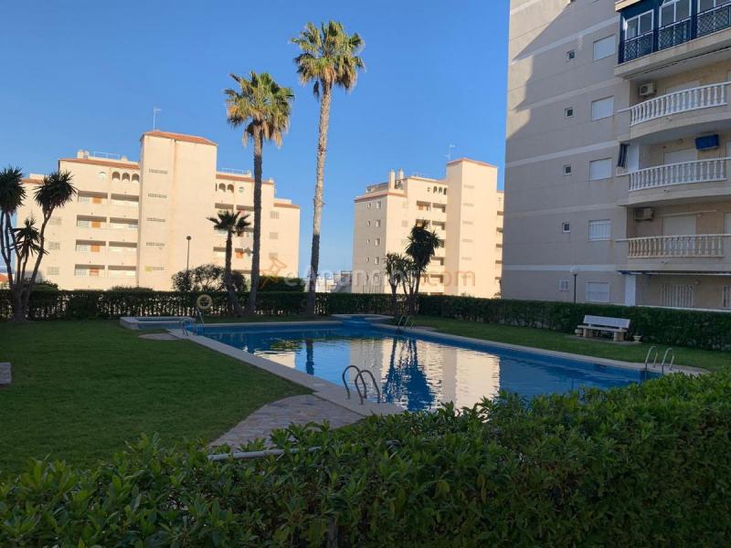 Apartamento en venta en Avenida COSTA BLANCA, Arenales del Sol