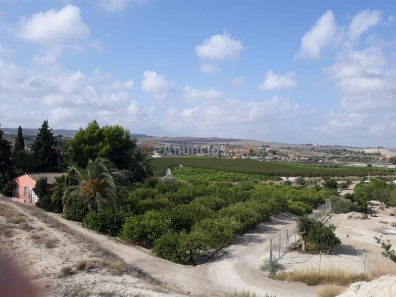 Casa Rural en venta en  Fortuna