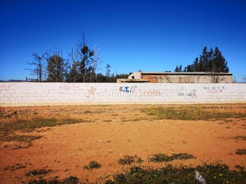 Venta de 2 fincas en la aljorra