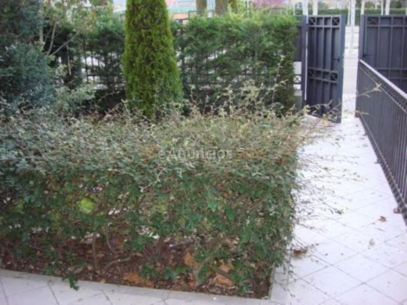 Casa en alquiler en Avenida DEL GOLF, Simancas