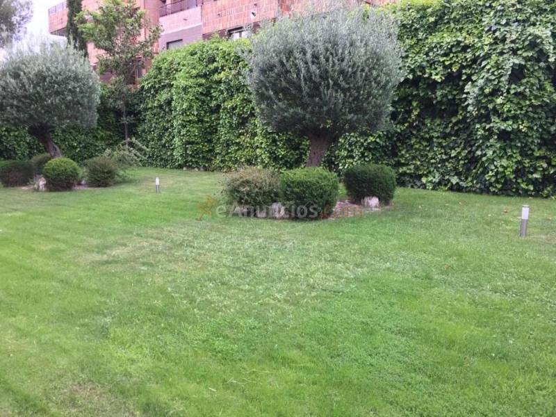 Duplex en alquiler en  Ciudad Lineal, Madrid