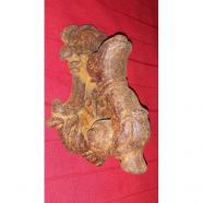 LLAMADOR DE HIERRO SIGLO XIX