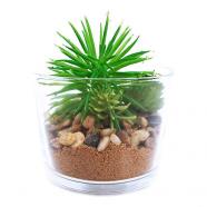 Maceta en vaso de cristal 12 cm