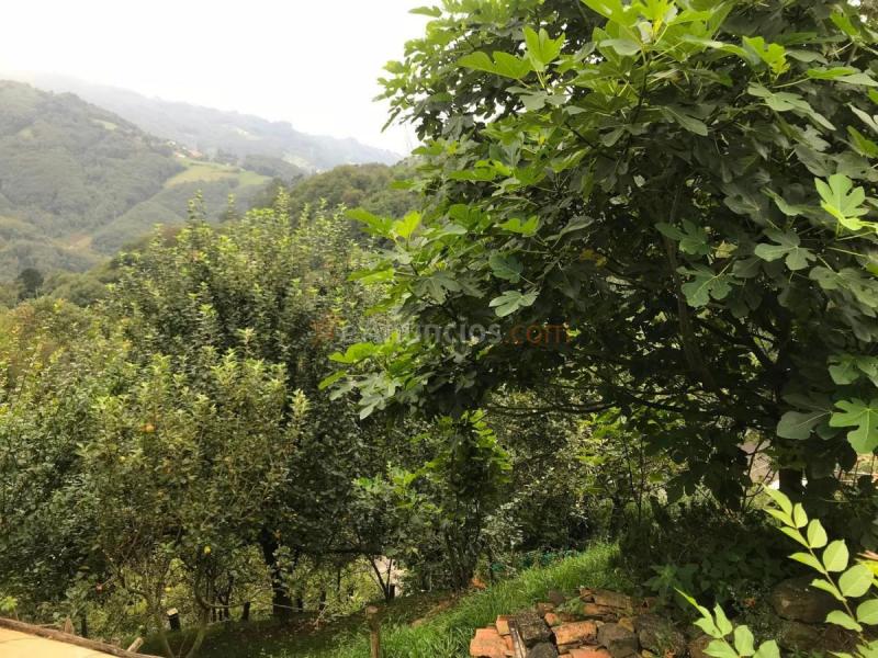 Casa Rural en venta en  Los Nadales, Requejo - Rozaes - Oñón, Mieres del Camino