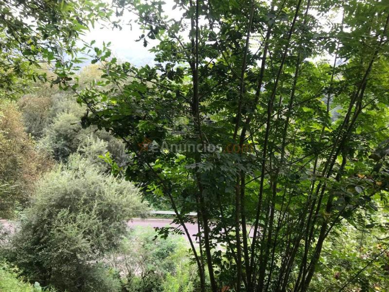 Casa Rural en venta en  Los Nadales, Requejo - Rozaes - Oñón, Mieres del Camino