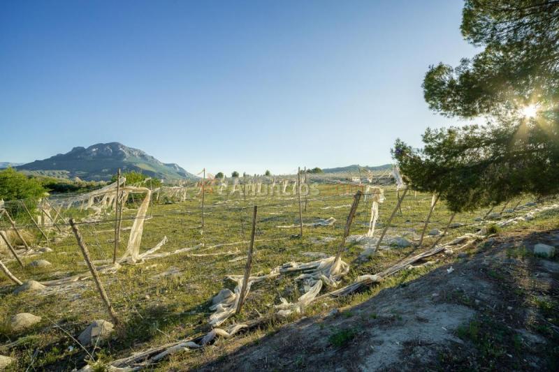 Casa Rural en venta en  Llano de los coroneles, Poligono 7 Parcela 534, Cortes de Baza