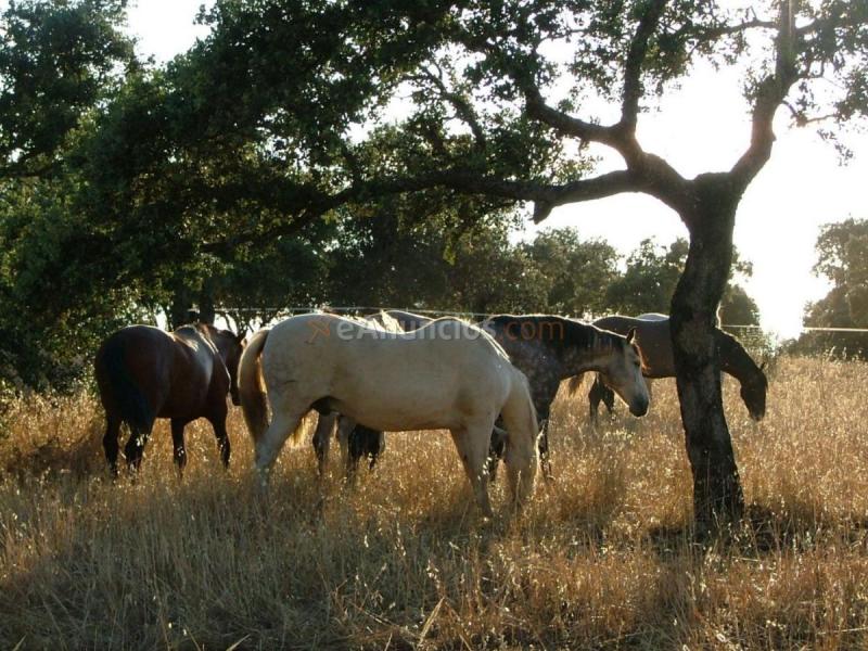 Casa Rural en venta en  Villarta