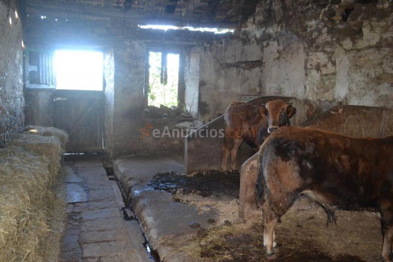 Casa Rural en venta en  Barrio de Arriba, Quintes - Arroes, Villaviciosa