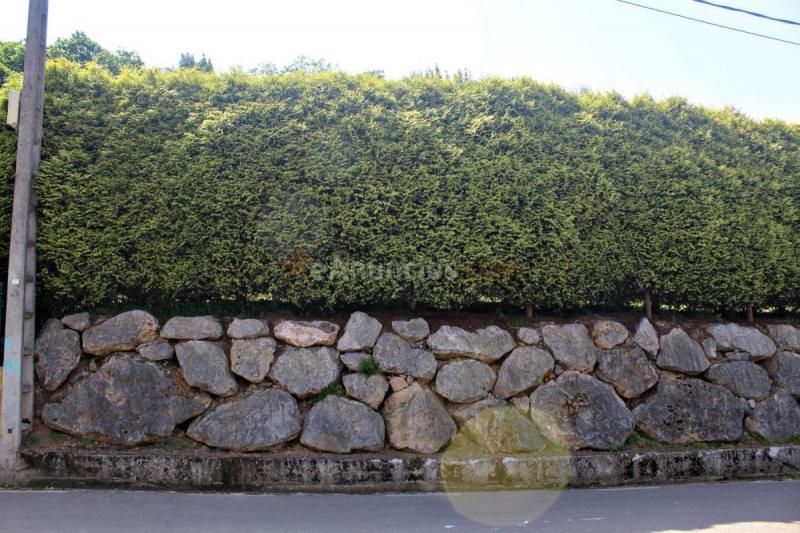 Casa Rural en venta en Carretera la redonda, Periurbano, Gijón