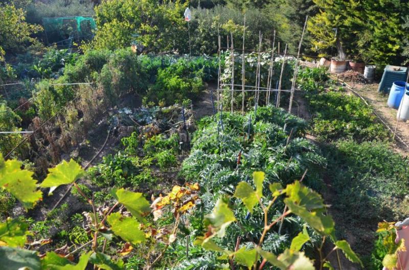 Casa Rural en venta en  Pueyo