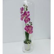 Maceta con orquídea artificial y cúpula de cristal 40 cm fucsia
