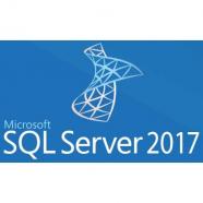Microsoft - SQL Server 2017 - 22137800