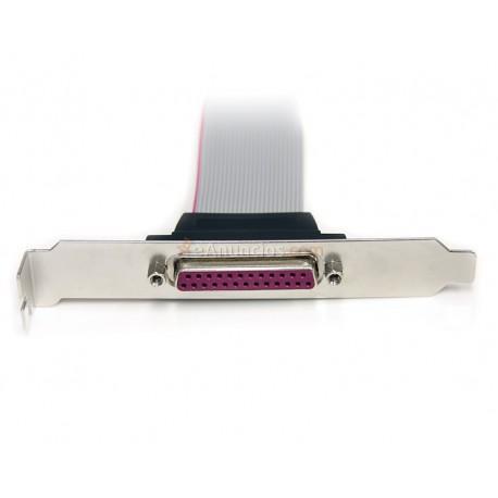 StarTech.com - Tarjeta Adaptadora PCI de 2 Puertos Serie DB9 UART 16C1050 y 2 Puertos Paralelo - Serial Combo