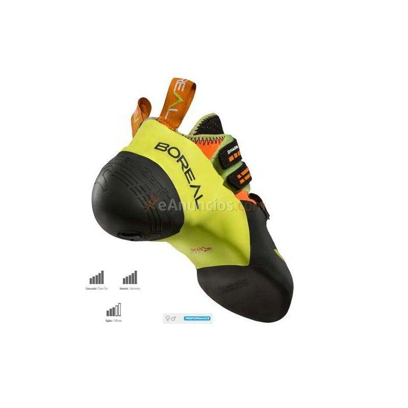 Pies de Gato Boreal DHARMA 2019