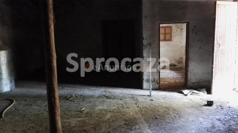 Venta de Almazara en Lagartera