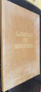 Láminas de anatomía