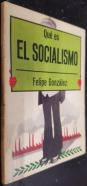 Qué es Socialismo