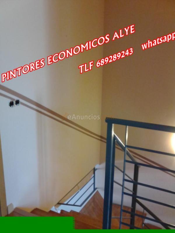 pintores economicos en valdemoro 689289243 alye