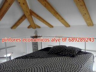 pintores economicos en alcorcon 689289243 alye