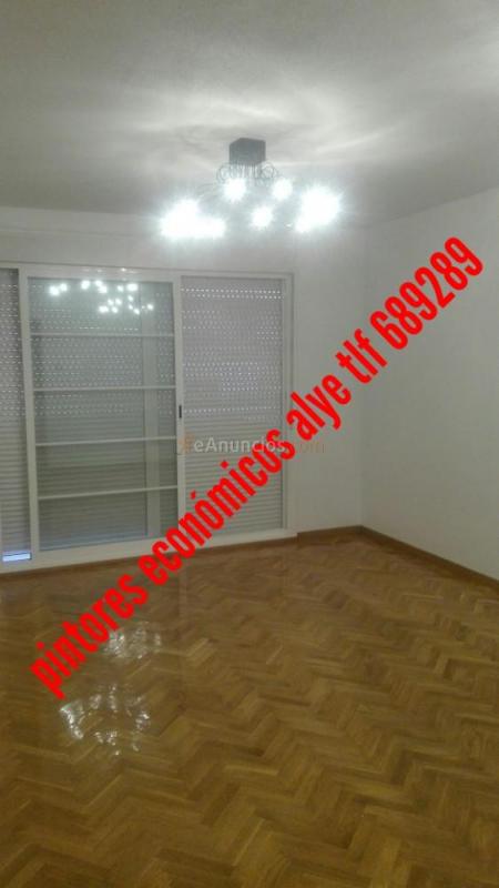 pintores economicos en alcorcon  689289243