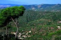 Fincas rústicas zona Mataró Dosrius