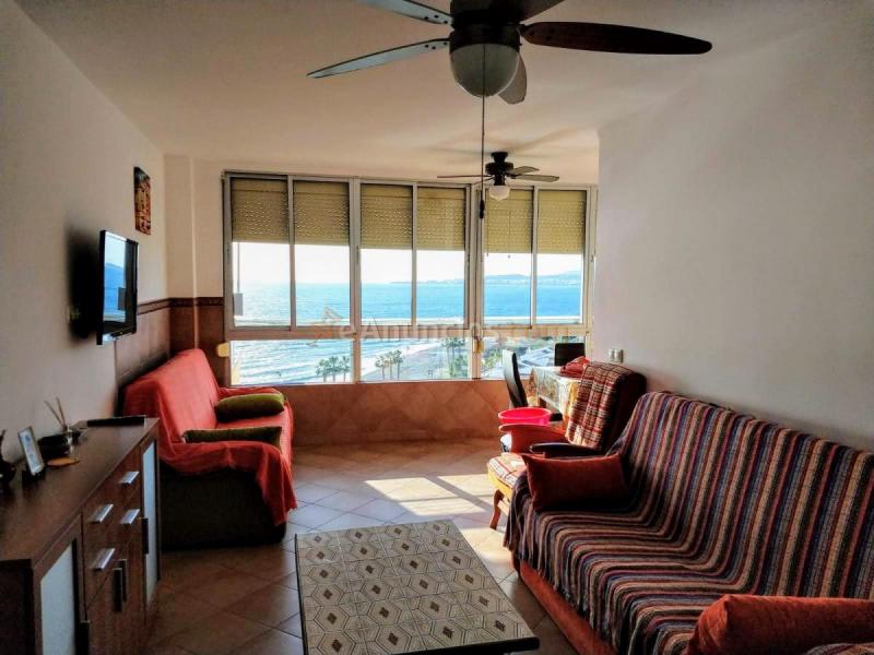 Estudio con vistas al mar, primera línea de playa