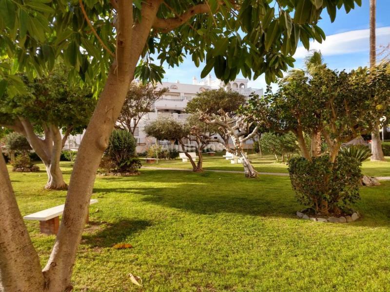 Estudio con vistas al mar, primera línea de playa