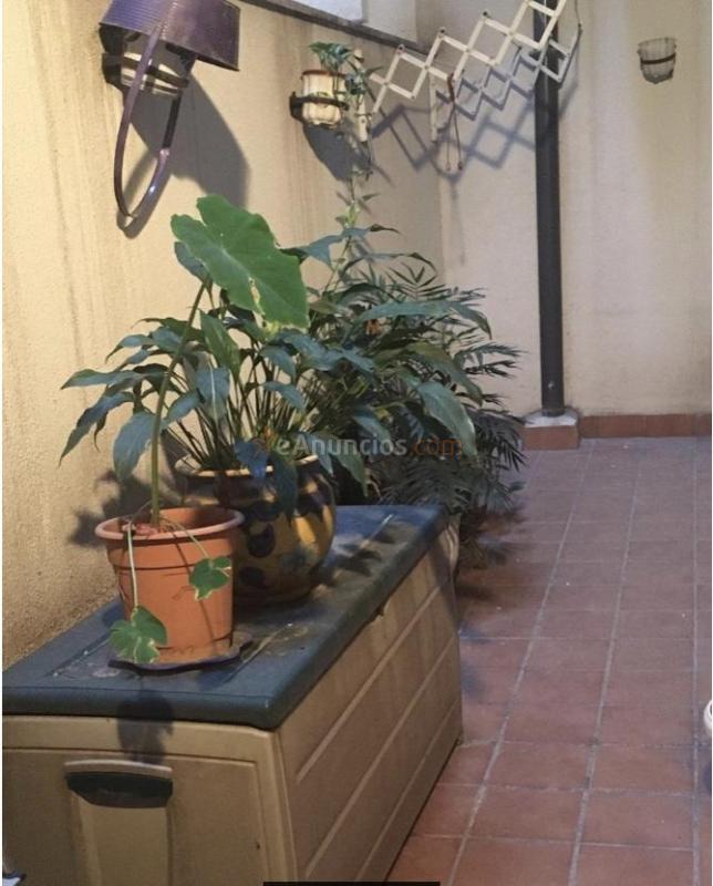 San marti se alquila