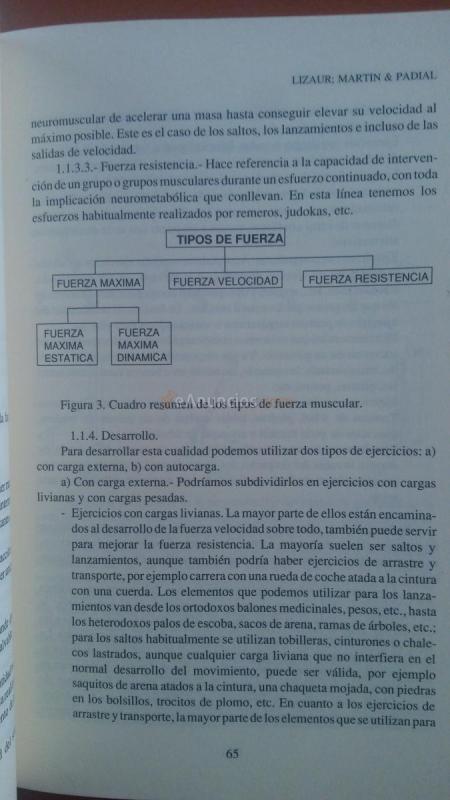 Entrenamiento deportivo en edad escolar. Libro 308 pág.