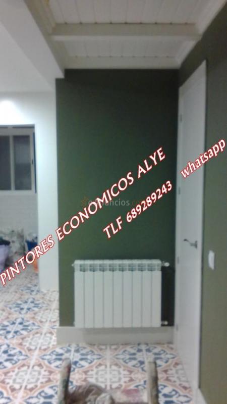 pintores economicos en majadahonda 689289243 alye
