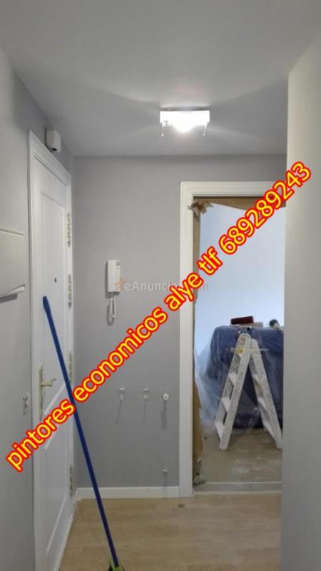 pintores economicos en majadahonda 689289243 alye
